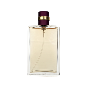 58 inspiriran po CHANEL - ALLURE SENSUELLE Inspired Image